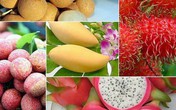 6 loại trái cây tươi ở Việt Nam đã được xuất khẩu thành công với giá bán "khó tin" 6 loại trái cây tươi ở Việt Nam đã được xuất khẩu thành công với giá bán "khó tin"