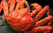 Cua hoàng đế Alaska giảm giá kỷ lục Cua hoàng đế Alaska giảm giá kỷ lục