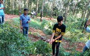 Lời khai nghi phạm sát hại thiếu nữ trong lô cao su Lời khai nghi phạm sát hại thiếu nữ trong lô cao su