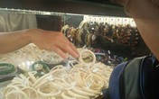 Tôi đi mua móng hổ, ngà voi: Toàn đồ giả! Tôi đi mua móng hổ, ngà voi: Toàn đồ giả!