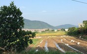Giá đất xung quanh 'trang trại 300 tỷ' của sư thầy Thích Thanh Toàn đắt thế nào? Giá đất xung quanh 'trang trại 300 tỷ' của sư thầy Thích Thanh Toàn đắt thế nào?