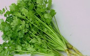 6 loại rau gia vị vô cùng rẻ ở Việt Nam nhưng sang Nhật, Hàn, Mỹ lại có giá siêu đắt, cộng đồng mạng choáng váng so sánh "tưởng sâm núi" 6 loại rau gia vị vô cùng rẻ ở Việt Nam nhưng sang Nhật, Hàn, Mỹ lại có giá siêu đắt, cộng đồng mạng choáng váng so sánh "tưởng sâm núi"