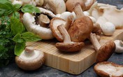 5 loại nấm tốt nhất cho sức khỏe ngừa chất gây ung thư loại 1, giúp trẻ thông minh hơn 5 loại nấm tốt nhất cho sức khỏe ngừa chất gây ung thư loại 1, giúp trẻ thông minh hơn