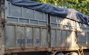 Trốn công an khi đổ thải trộm ở Bình Phước, tài xế bị rắn độc cắn Trốn công an khi đổ thải trộm ở Bình Phước, tài xế bị rắn độc cắn