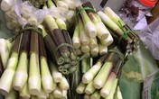 Củ niễng: Món đặc sản theo mùa mọc dại ở bờ ao chỉ xuất hiện trong vòng 1 tháng đang sốt xình xịch trong giới tiêu dùng, chị em mua nhanh kẻo hết mùa Củ niễng: Món đặc sản theo mùa mọc dại ở bờ ao chỉ xuất hiện trong vòng 1 tháng đang sốt xình xịch trong giới tiêu dùng, chị em mua nhanh kẻo hết mùa