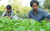 Hai cô gái trẻ bỏ công việc lên rừng làm nông nghiệp thuận tự nhiên Hai cô gái trẻ bỏ công việc lên rừng làm nông nghiệp thuận tự nhiên