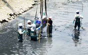 Tháo dỡ hệ thống làm sạch sông Tô Lịch, di chuyển đàn cá Koi sang Hồ Tây Tháo dỡ hệ thống làm sạch sông Tô Lịch, di chuyển đàn cá Koi sang Hồ Tây