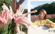 Mẹ Việt ở Hàn chia sẻ bí quyết giúp căn bếp đẹp "chuẩn chỉnh" và luôn sạch sẽ, gọn gàng Mẹ Việt ở Hàn chia sẻ bí quyết giúp căn bếp đẹp "chuẩn chỉnh" và luôn sạch sẽ, gọn gàng