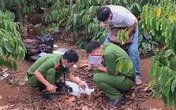 Lạnh người lời khai kẻ sát hại cô gái trong rẫy cà phê: Sợ lộ chuyện quan hệ nên ra tay Lạnh người lời khai kẻ sát hại cô gái trong rẫy cà phê: Sợ lộ chuyện quan hệ nên ra tay