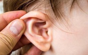 Cậu bé 8 tuổi bị đau tai, đi khám bác sĩ sốc khi phát hiện có “cây” mọc trong tai Cậu bé 8 tuổi bị đau tai, đi khám bác sĩ sốc khi phát hiện có “cây” mọc trong tai