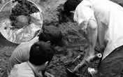 Phát hiện nhiều mẫu xương nghi là xương người khi nạo vét ao tôm Phát hiện nhiều mẫu xương nghi là xương người khi nạo vét ao tôm