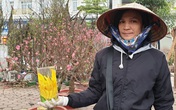 Bỏ cửa hàng tạp hóa ế ẩm, tiểu thương tranh thủ lên Thủ đô bán hoa Tết Bỏ cửa hàng tạp hóa ế ẩm, tiểu thương tranh thủ lên Thủ đô bán hoa Tết