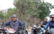 Người Hải Phòng chi chục triệu, trăm triệu chơi đào phai Người Hải Phòng chi chục triệu, trăm triệu chơi đào phai