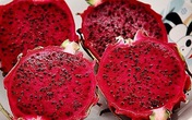 Những món ngon chống ngán, đẹp da từ quả thanh long Những món ngon chống ngán, đẹp da từ quả thanh long