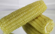 Nếu ăn 1 bắp ngô vào thời điểm này mỗi ngày, phụ nữ cả đời không sợ ung thư vú lại “miễn dịch” với hàng loạt bệnh nguy hiểm Nếu ăn 1 bắp ngô vào thời điểm này mỗi ngày, phụ nữ cả đời không sợ ung thư vú lại “miễn dịch” với hàng loạt bệnh nguy hiểm