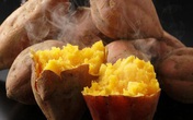 9 loại thực phẩm tự nhiên có nhiều tác dụng trong việc ngừa ung thư mà nhà nào cũng có 9 loại thực phẩm tự nhiên có nhiều tác dụng trong việc ngừa ung thư mà nhà nào cũng có
