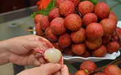 Ngoài rượu, bia, "chỉ mặt" những loại hoa quả, thực phẩm có nồng độ cồn vượt ngưỡng Ngoài rượu, bia, "chỉ mặt" những loại hoa quả, thực phẩm có nồng độ cồn vượt ngưỡng