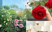 Không cần tốn tiền đi mua phân bón, vườn cây của bạn sẽ tốt vù vù với những thực phẩm bỏ đi trong nhà bếp này Không cần tốn tiền đi mua phân bón, vườn cây của bạn sẽ tốt vù vù với những thực phẩm bỏ đi trong nhà bếp này