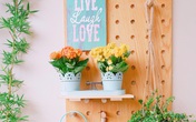 Căn bếp nhỏ xíu xây nhiều năm vẫn gọn đẹp như mới của mẹ đảm ở TP. HCM Căn bếp nhỏ xíu xây nhiều năm vẫn gọn đẹp như mới của mẹ đảm ở TP. HCM