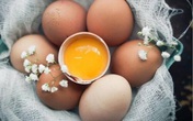 Những thực phẩm đại kị với người bị viêm gan B Những thực phẩm đại kị với người bị viêm gan B
