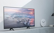 Trong 'bão' giảm giá 50%, tivi 4K 43 inch có giá bán rẻ không tưởng Trong 'bão' giảm giá 50%, tivi 4K 43 inch có giá bán rẻ không tưởng