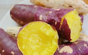 Vẫn là khoai lang nhưng không luộc cũng chẳng phải nướng, cách làm này đảm bảo sẽ khiến chị em "nức lòng" vì độ ngon mà không lo béo Vẫn là khoai lang nhưng không luộc cũng chẳng phải nướng, cách làm này đảm bảo sẽ khiến chị em "nức lòng" vì độ ngon mà không lo béo