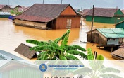 Nhiều trường đại học triển khai hỗ trợ sinh viên miền Trung trước lũ lụt lịch sử Nhiều trường đại học triển khai hỗ trợ sinh viên miền Trung trước lũ lụt lịch sử