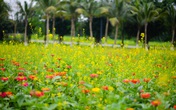 Thiên đường hoa 4 mùa khoe sắc tại Ecopark Thiên đường hoa 4 mùa khoe sắc tại Ecopark