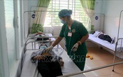 Một học sinh lớp 9 tại Gia Lai tử vong do bệnh bạch hầu Một học sinh lớp 9 tại Gia Lai tử vong do bệnh bạch hầu