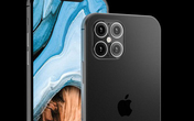 Những dòng iPhone giảm giá chưa từng có sau khi iPhone 12 ra mắt, cơ hội tốt nhất để mua Những dòng iPhone giảm giá chưa từng có sau khi iPhone 12 ra mắt, cơ hội tốt nhất để mua