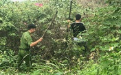 Hà Nội: Trắng đêm lật từng bụi cỏ tìm nữ sinh mất tích bí ẩn Hà Nội: Trắng đêm lật từng bụi cỏ tìm nữ sinh mất tích bí ẩn
