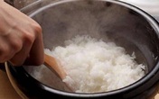 Cứ tưởng nấu cơm bằng nồi điện là "dễ nhất quả đất" nhưng nếu không biết cách sau thì cơm vẫn sống, nát, mất hết dinh dưỡng Cứ tưởng nấu cơm bằng nồi điện là "dễ nhất quả đất" nhưng nếu không biết cách sau thì cơm vẫn sống, nát, mất hết dinh dưỡng