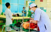 Sạt lở kinh hoàng ở Quảng Nam: Huy động chó nghiệp vụ tìm kiếm 13 người mất tích còn lại Sạt lở kinh hoàng ở Quảng Nam: Huy động chó nghiệp vụ tìm kiếm 13 người mất tích còn lại