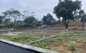 Đầu tư đất ở khu vực Tây Hà Nội, cứ "om" 2 tháng là lời 4 giá? Đầu tư đất ở khu vực Tây Hà Nội, cứ "om" 2 tháng là lời 4 giá?