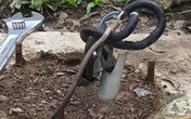 Bé gái nghi bị điện giật tử vong khi chơi trong công viên Bé gái nghi bị điện giật tử vong khi chơi trong công viên