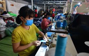 Dịch COVID-19 khiến tỷ lệ thất nghiệp quý III/2020 cao nhất trong vòng 10 năm qua Dịch COVID-19 khiến tỷ lệ thất nghiệp quý III/2020 cao nhất trong vòng 10 năm qua
