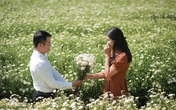 Cúc họa mi đầu mùa vẫy gọi khách nườm nượp đổ về Nhật Tân chụp ảnh Cúc họa mi đầu mùa vẫy gọi khách nườm nượp đổ về Nhật Tân chụp ảnh