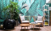 Ngắm căn nhà trị giá 23 tỷ của Hồ Quang Hiếu, không gian xanh tươi ai cũng thích thú Ngắm căn nhà trị giá 23 tỷ của Hồ Quang Hiếu, không gian xanh tươi ai cũng thích thú