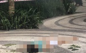 Hé lộ nguyên nhân vụ nữ luật sư rơi từ tầng 18 tử vong Hé lộ nguyên nhân vụ nữ luật sư rơi từ tầng 18 tử vong