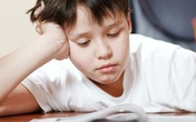 GS Mỹ: 'Bài tập về nhà hoàn toàn không có tác dụng với học sinh tiểu học' GS Mỹ: 'Bài tập về nhà hoàn toàn không có tác dụng với học sinh tiểu học'