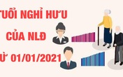 Quy định mới về tuổi nghỉ hưu chính thức được thực hiện thế nào từ 1/1/2021? Quy định mới về tuổi nghỉ hưu chính thức được thực hiện thế nào từ 1/1/2021?