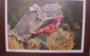 Xúc động trước nhiều khoảnh khắc người dân Hà Giang vừa chống dịch, vừa phát triển kinh tế Xúc động trước nhiều khoảnh khắc người dân Hà Giang vừa chống dịch, vừa phát triển kinh tế