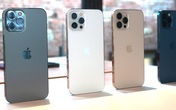 Các cửa hàng không dám nhận cọc vì sức hút khủng khiếp của iPhone 12 Pro Max Các cửa hàng không dám nhận cọc vì sức hút khủng khiếp của iPhone 12 Pro Max