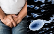 Xuất tinh nhiều có hại không? Xuất tinh nhiều có hại không?
