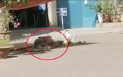 Hà Nội: Người đàn ông tử vong sau khi rơi từ tầng cao chung cư lúc giữa trưa Hà Nội: Người đàn ông tử vong sau khi rơi từ tầng cao chung cư lúc giữa trưa