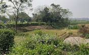 Đôi nam nữ tử vong giữa cánh đồng Đôi nam nữ tử vong giữa cánh đồng