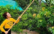 Nhìn cách Vy Oanh tạo dáng bên khu vườn trong biệt thự khiến nhiều người thích mê Nhìn cách Vy Oanh tạo dáng bên khu vườn trong biệt thự khiến nhiều người thích mê