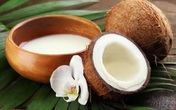 Những tác dụng tuyệt vời từ nước cốt dừa tự nhiên đối với sức khỏe Những tác dụng tuyệt vời từ nước cốt dừa tự nhiên đối với sức khỏe