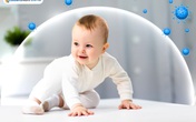 ColostroNoni - tăng cường hệ miễn dịch hỗ trợ hệ tiêu hóa của bé khỏe mạnh ColostroNoni - tăng cường hệ miễn dịch hỗ trợ hệ tiêu hóa của bé khỏe mạnh