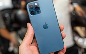 5 mẫu iPhone giảm giá cực sâu, 'đỉnh nhất' là iPhone 12 Pro Max đang bán rẻ 3 triệu đồng 5 mẫu iPhone giảm giá cực sâu, 'đỉnh nhất' là iPhone 12 Pro Max đang bán rẻ 3 triệu đồng